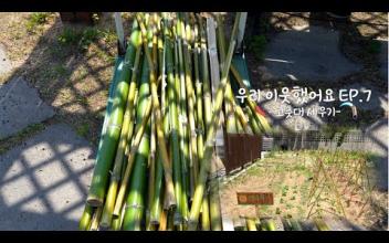 우리 이웃했어요 EP.7 -고춧대 세우기- 이미지
