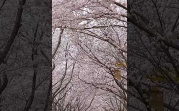 복지관에 봄이 왔어요~ 이미지