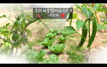 우리 이웃했어요 EP.9 -텃밭편- 이미지